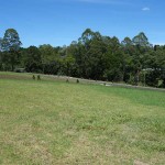 Brookhaven Estate Land for sale Maleny for Sale